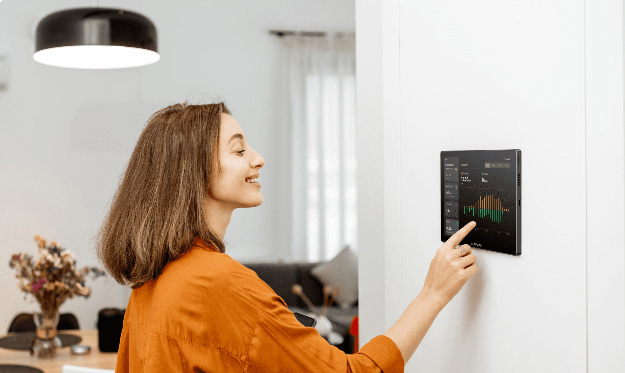 EcoFlow PowerInsight Energiemanager Smart Home Schweiz